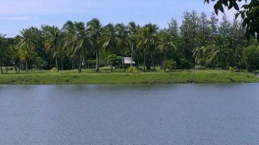 Suranaree Golf Course.