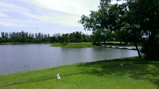 Suranaree Golf Course.