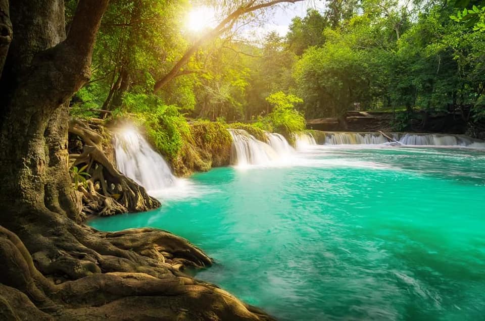 Khao Yai nasjonalpark