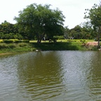 Suranaree Golf Course.