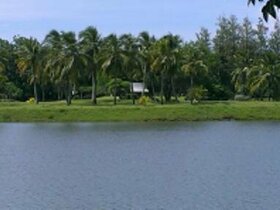 Suranaree Golf Course.