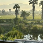 Thai Train Guide